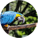 Emily Josif Emily Josif